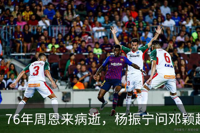 76年周恩来病逝，杨振宁问邓颖超：总理明知生病为何不让他休息？