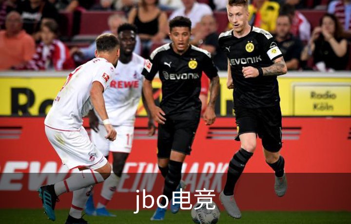 企业介绍